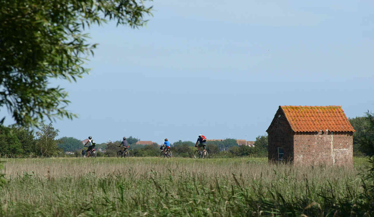 fahrrad tour auf fehmarn