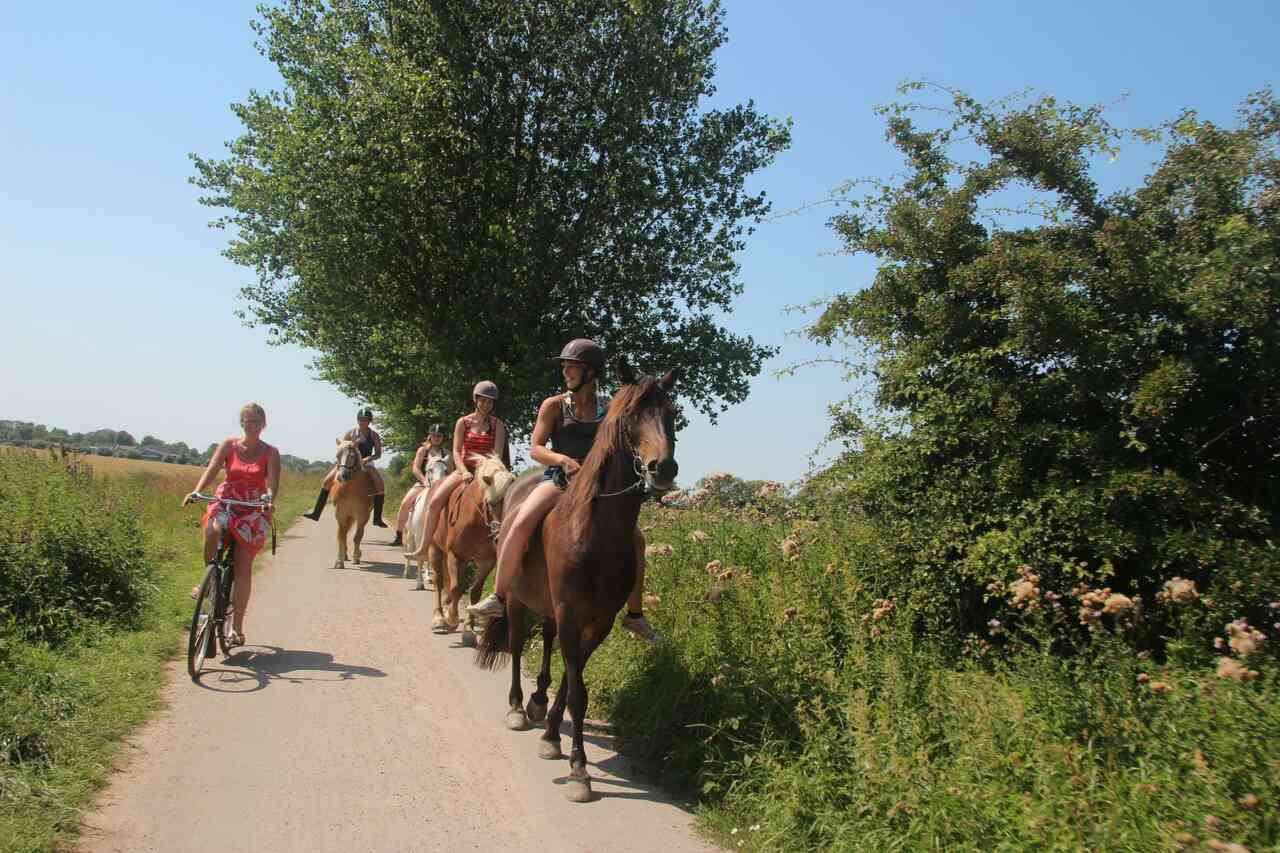 reiten fehmarn 1