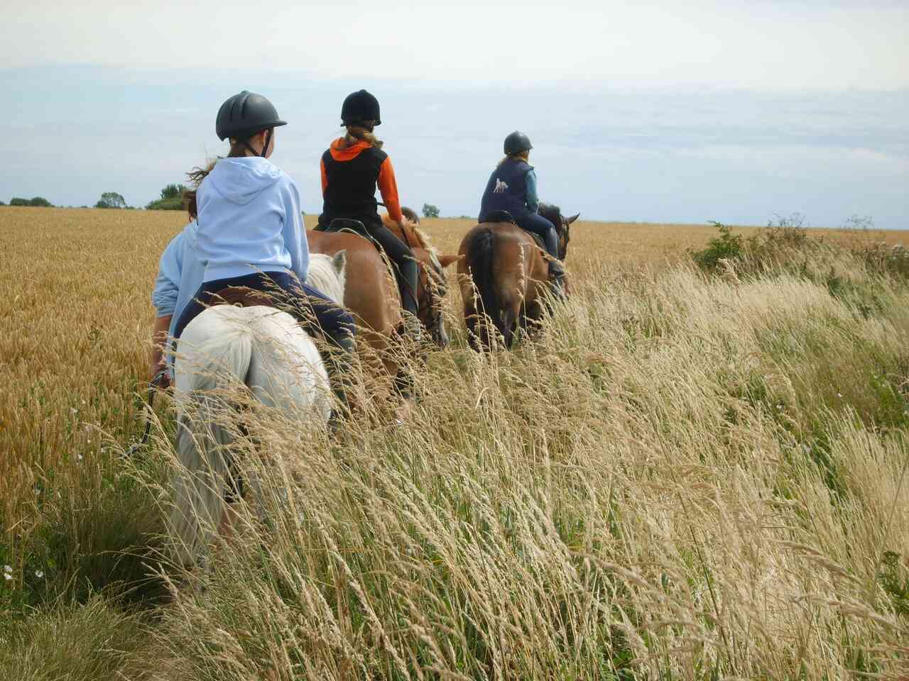 reiten fehmarn 10