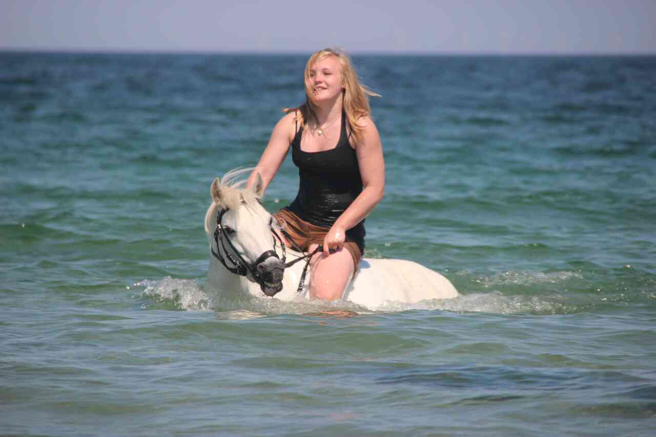 reiten fehmarn 5
