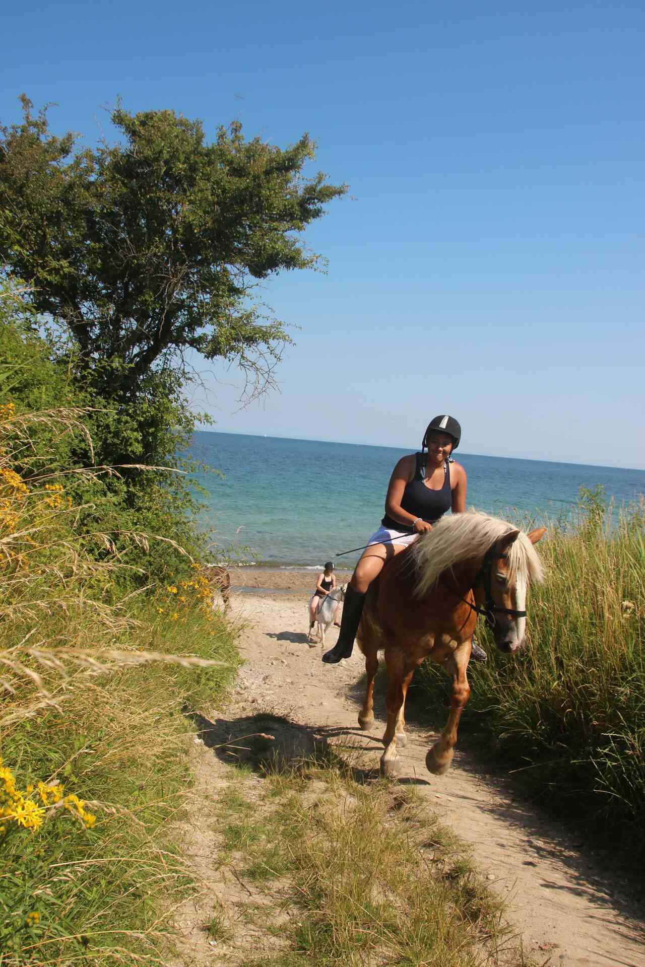 reiten fehmarn 8