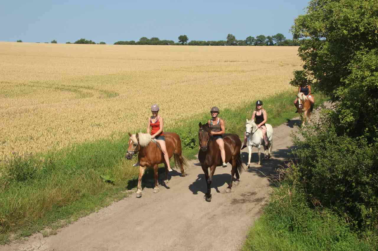 reiten fehmarn 9