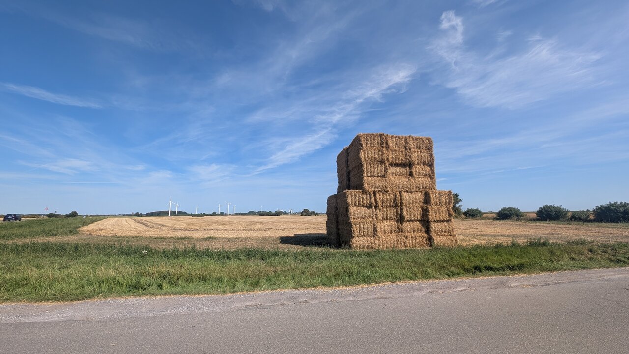 Bauernhöfe auf Fehmarn - Mit Tieren Urlaub machen