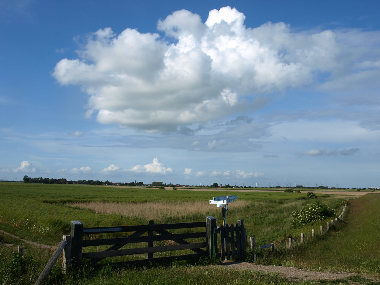 Ferienwohnungen auf Fehmarn