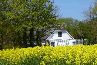 Haus Sonnenschein – Blick auf das Haus im Frühling