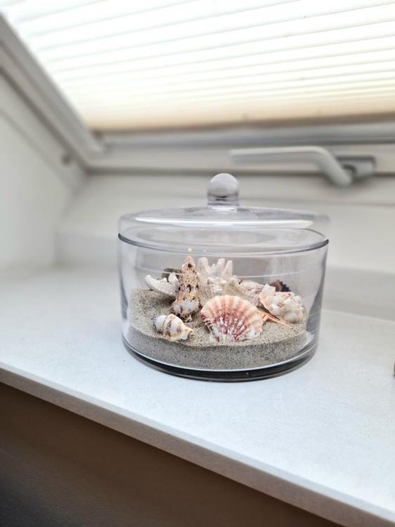 Ferienwohnung Seestern Bild: 13 Ferienwohnung Seestern Bild: 13