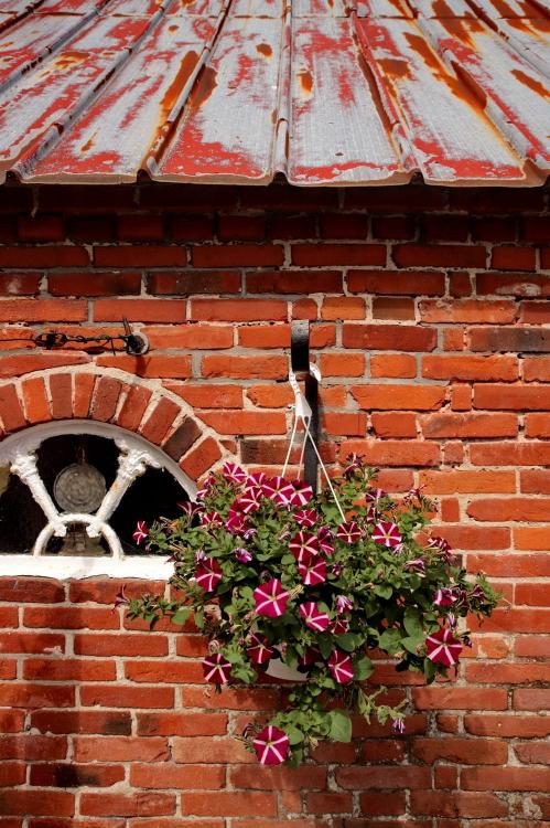 Landhaus Henrici Bild: 13