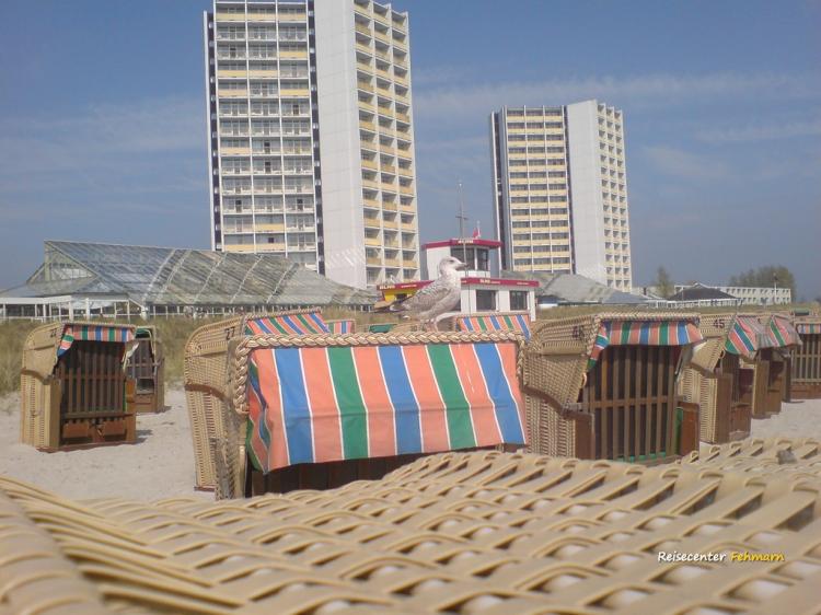 Südstrand 137421 Bild: 4 Südstrand 137421 Bild: 4