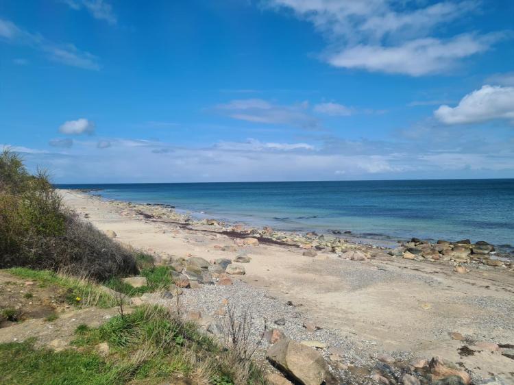 28 Fehmarn An der Reiterkoppel 49b EG Bild: 20