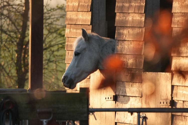 Ole Huus Bild: 61 Ole Huus Bild: 61