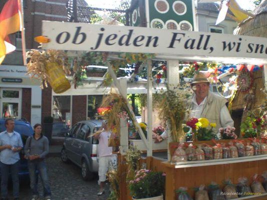 Altstadtfest in Burg 2008