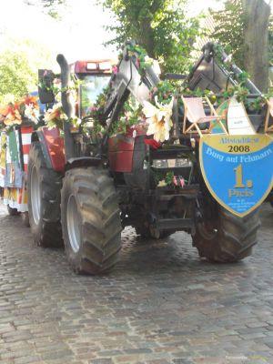 Altstadtfest in Burg 2008