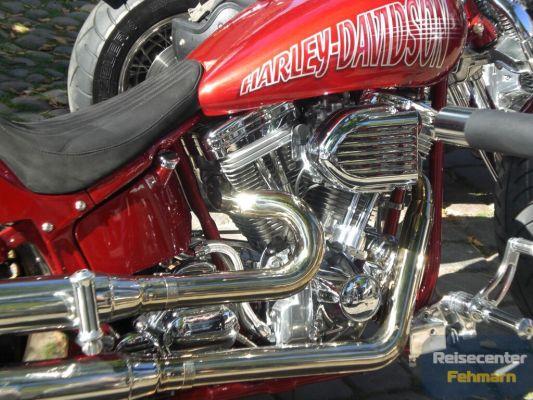 Days of American Bikes 2008