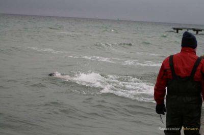 Anbaden am Südstrand 2009
