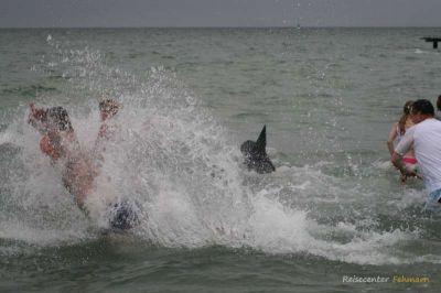 Anbaden am Südstrand 2009