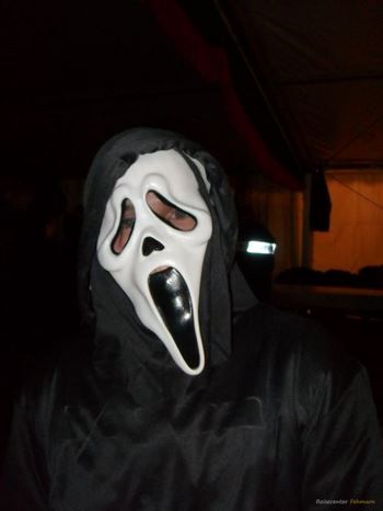 Insel Karneval in Burg 2011