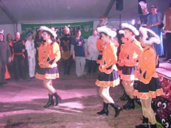 Insel Karneval in Burg 2011