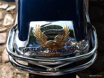 Days of American Bikes 2011