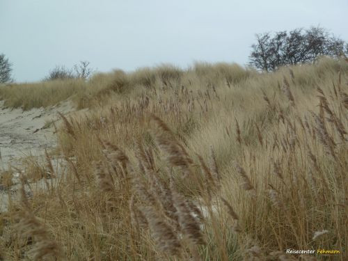 Winter Impressionen am Südstrand