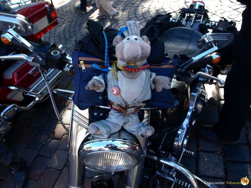 Days of american Bikes 2013