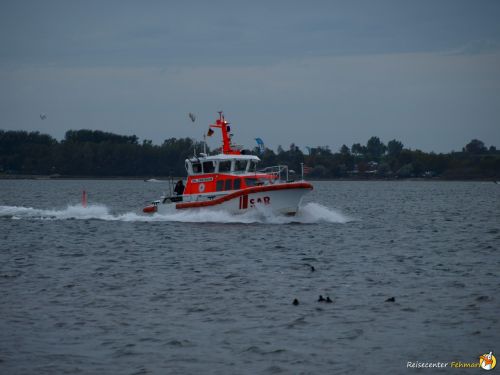 Museumsboot - Arwed Emminghaus