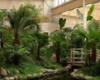 Schmetterlings Park Fehmarn