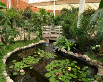 Schmetterlings Park Fehmarn