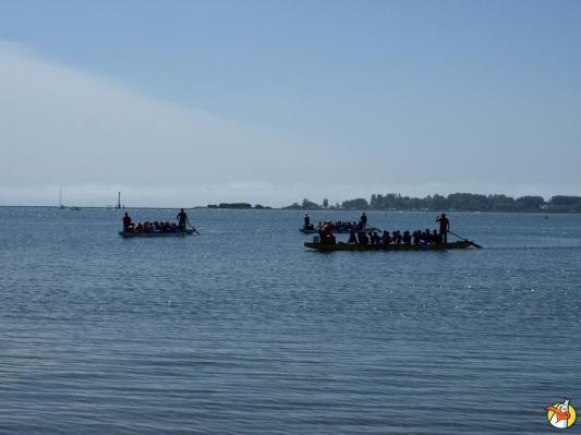 Drachenboot Festival 2014