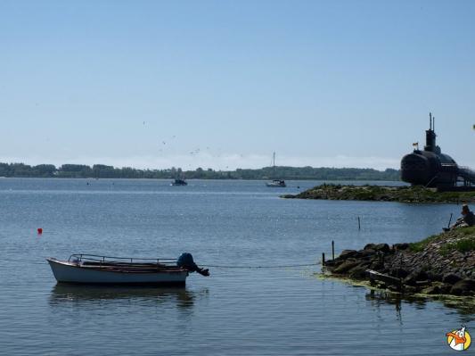 Drachenboot Festival 2014