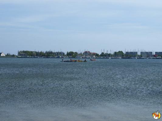 Drachenboot Festival 2014