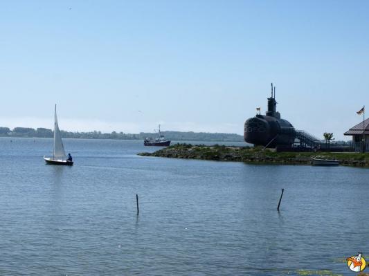 Drachenboot Festival 2014