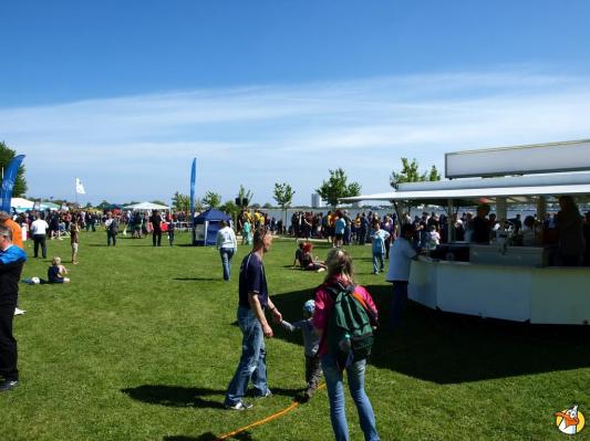 Drachenboot Festival 2014