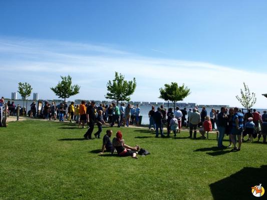 Drachenboot Festival 2014