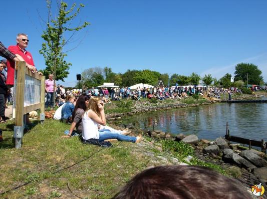 Drachenboot Festival 2014