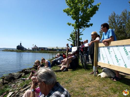 Drachenboot Festival 2014