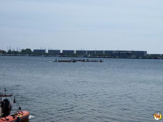 Drachenboot Festival 2014