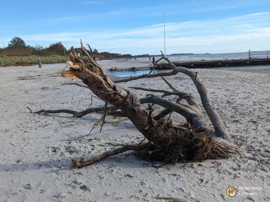 Südstrand nach Sturm 2023