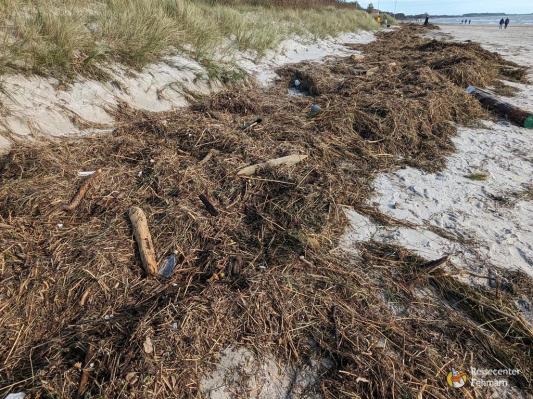 Südstrand nach Sturm 2023