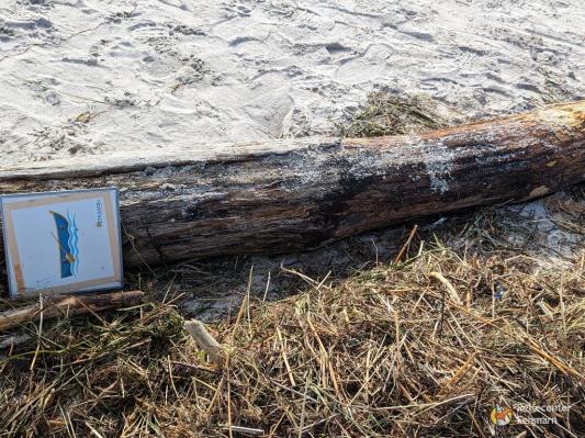 Südstrand nach Sturm 2023
