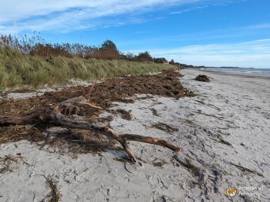 Südstrand nach Sturm 2023