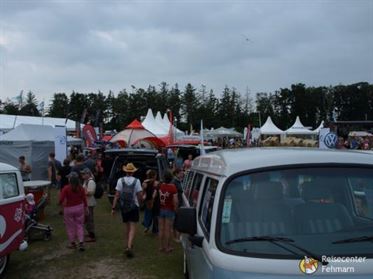 Bulli Festival auf Fehmarn