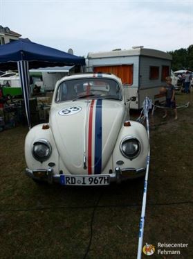 Bulli Festival auf Fehmarn