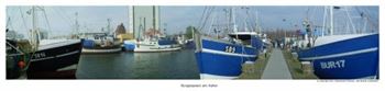 Teilpanorama - 180 grad Sicht