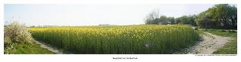 Teilpanorama - 180 grad Sicht