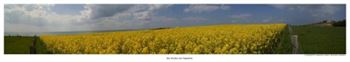 Teilpanorama - 180 grad Sicht