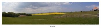 Teilpanorama - 180 grad Sicht