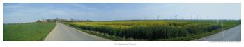 Teilpanorama - 180 grad Sicht